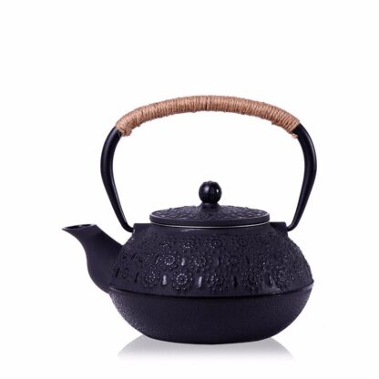 Cast Iron Teapot Set